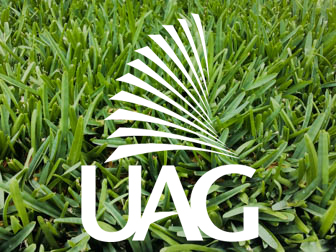 Proyecto UAG