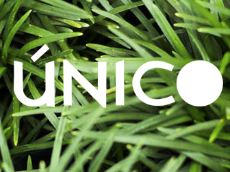 UNICO